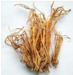 Gentian root 